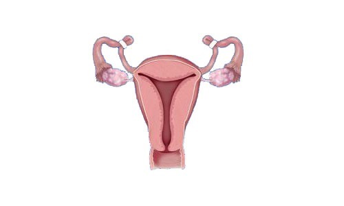 Birth Control All Women's Health Centers abortion clinics Florida - tubal ligation